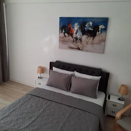 Luxury Center - Garofita Romana Apartman Bukarest