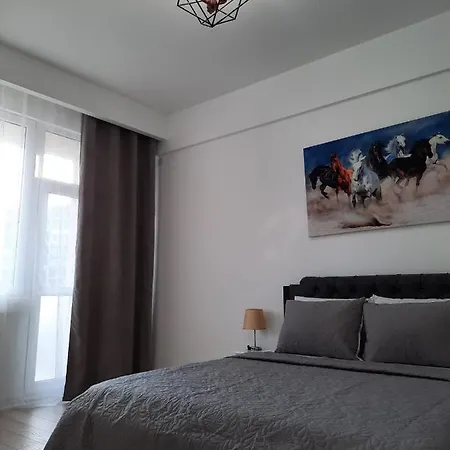 Apartament Luxury Center - Garofita Romana *