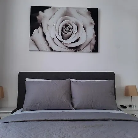Luxury Center - Garofita Romana Apartman *