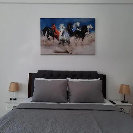 Luxury Center - Garofita Romana *