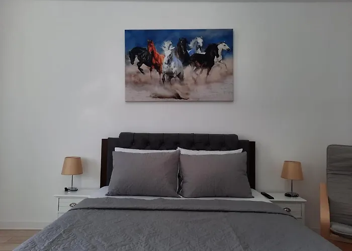 Luxury Center - Garofita Romana *