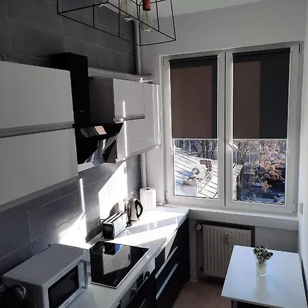 Luxury Center - Garofita Romana Apartment
