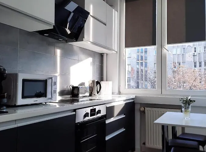 Appartement Luxury Center - Garofita Romana *