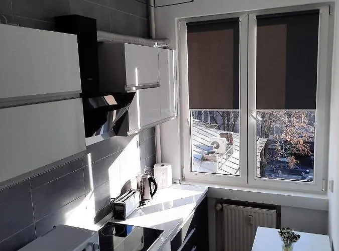 Luxury Center - Garofita Romana Appartement